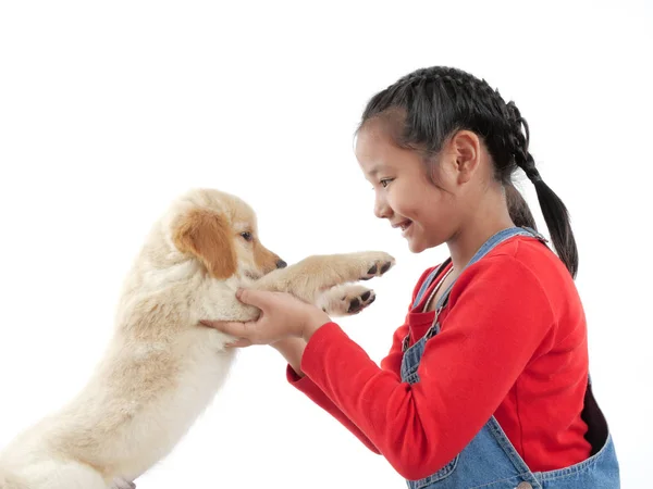 Asyalı Kız Onu Köpek Yavrusu Golden Retivever Ile Beyaz Arka — Stok fotoğraf