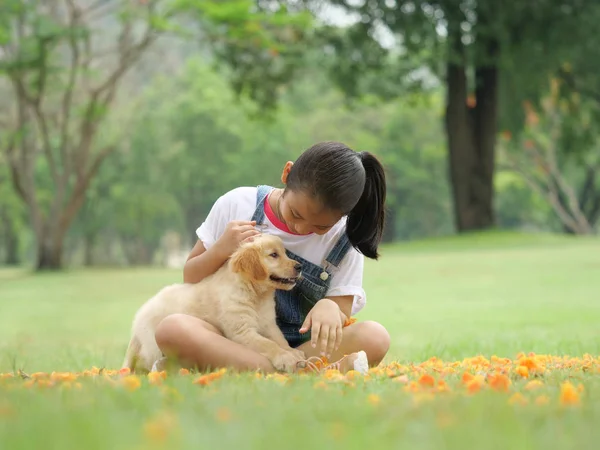 Little Asian Girl Playing Cute Golden Retriever Dog Park — Stock Photo, Image