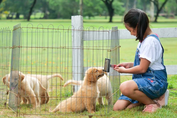 Küçük Asyalı Kız Parkta Bir Şirin Golden Retriever Köpek Ile — Stok fotoğraf