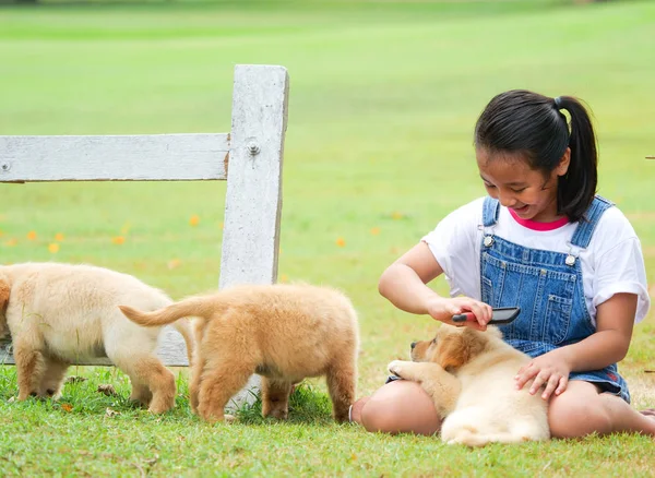 Küçük Asyalı Kız Parkta Bir Şirin Golden Retriever Köpek Ile — Stok fotoğraf