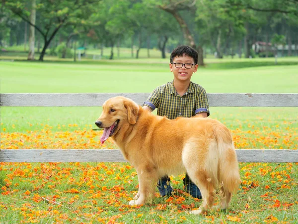 Poco Asiático Chico Jugando Con Lindo Golden Retriever Perro Parque — Foto de Stock