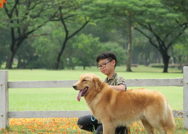 Mały Azjatycki Chłopiec Bawi Się Ładny Złoty Pies Myśliwski Pies — Zdjęcie stockowe