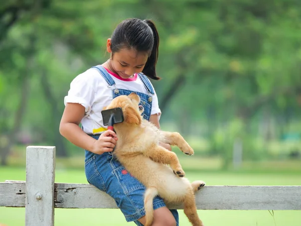 Aziatische Meisje Borstelen Aan Leuke Golden Retriever Hond Het Park — Stockfoto