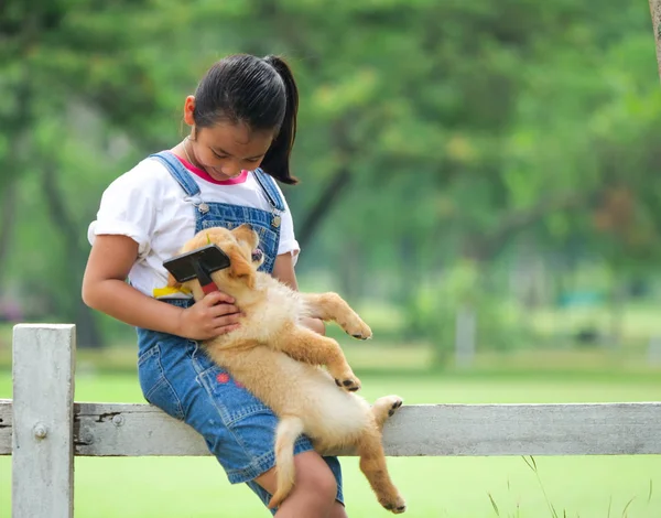 Pequeña Chica Asiática Cepillado Lindo Golden Retriever Perro Parque — Foto de Stock