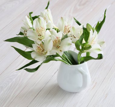 Alstroemeria çiçek yakın çekim 