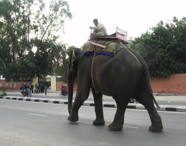 KONICA MINOLTA Dijital CAMERA