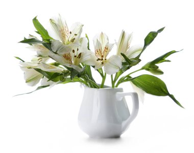 Alstroemeria. Beyaz bir arkaplanda izole edilmiş.