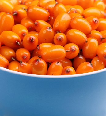 Buckthorn böğürtlenini yakın plan