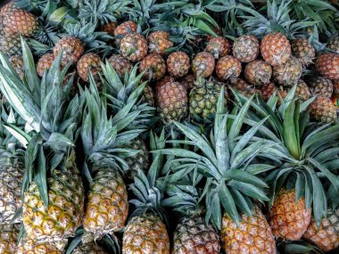 Kırmızı renkli nar taneleri