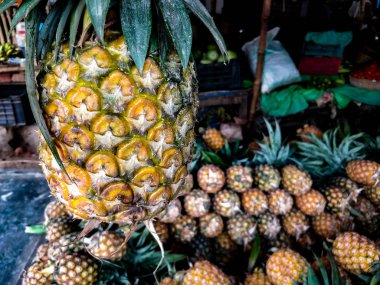 Olgun ananas ananas arka planda bulanık dolu bir pazarda asılı
