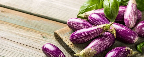 Högen av små aubergine eller Äggplanta aubergine — Stockfoto