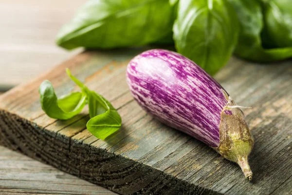 Liten aubergine eller Äggplanta aubergine — Stockfoto