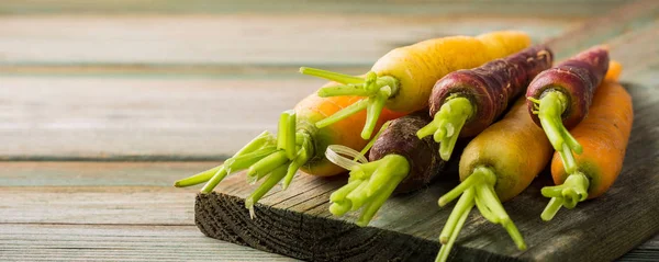 Radici di carote fresche crude colorate — Foto Stock