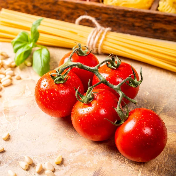 新鲜的西红柿意大利面食酱自制经典 — 图库照片