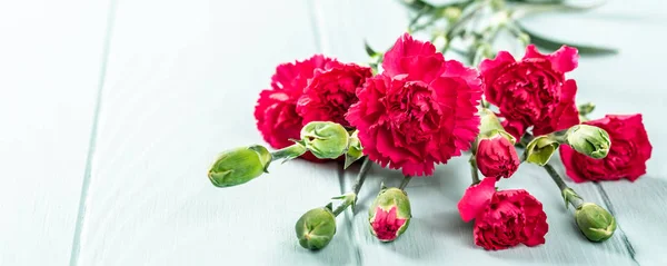 Bouquet d'oeillet rose sur fond de bois turquoise clair — Photo