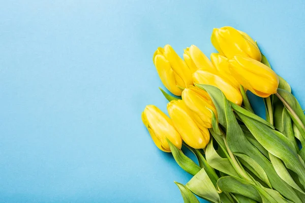 Amarelo tulipas fundo — Fotografia de Stock
