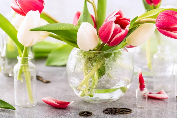 Rosa och vita tulpaner i glasvaser — Stockfoto