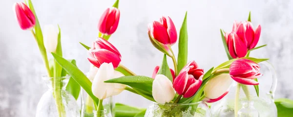Tulipes roses et blanches dans des vases en verre — Photo