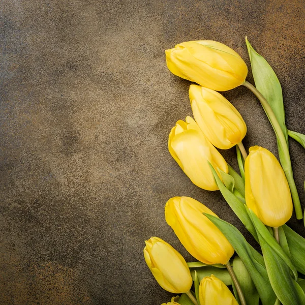 Gele tulpen achtergrond — Stockfoto