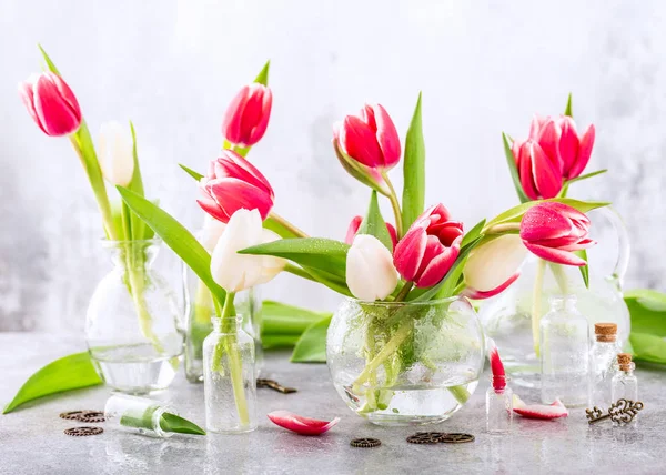 Tulipes roses et blanches dans des vases en verre — Photo