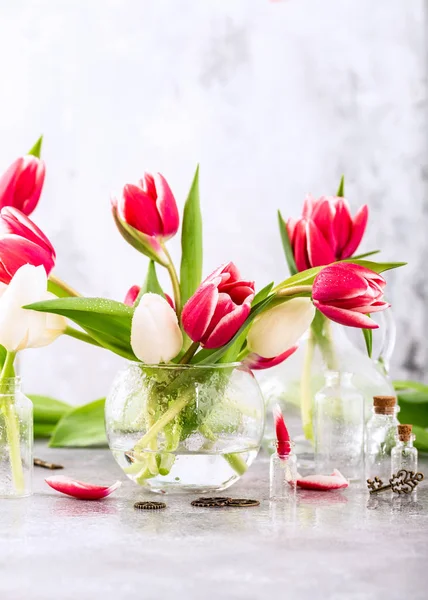 Tulipanes rosados y blancos en jarrones de vidrio —  Fotos de Stock