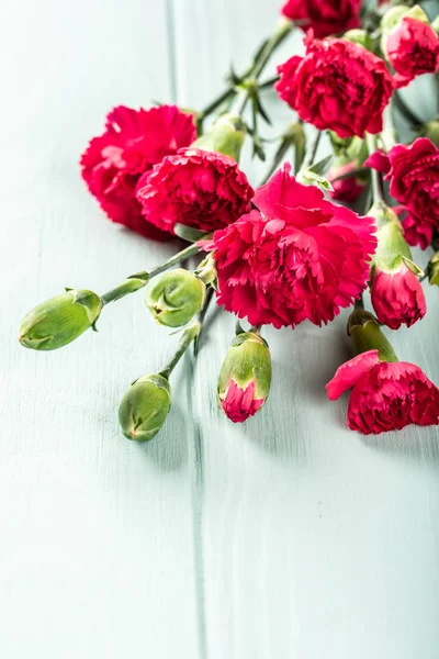 Kytice růžové karafiáty na světle tyrkysové dřevěné pozadí — Stock fotografie