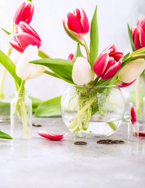 Рожеві та білі тюльпани в скляних вазах — стокове фото