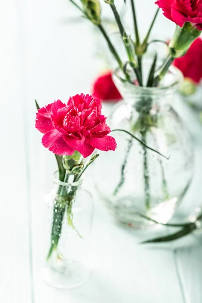 Bouquet d'oeillet rose sur fond de bois turquoise clair — Photo