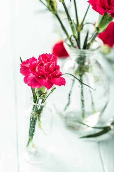 Bukett av rosa nejlika på ljus turkos trä bakgrund — Stockfoto