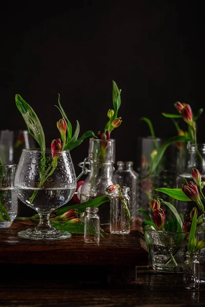 Red flowers in glass vases