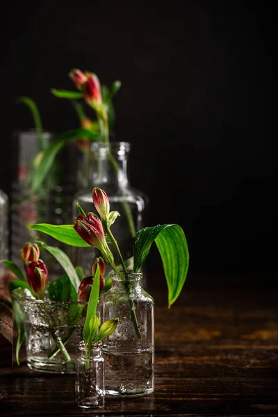 Röda blommor i glasvaser — Stockfoto