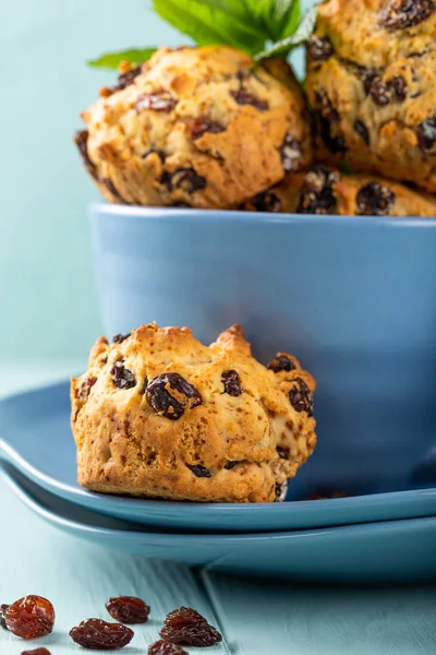 Muffin all'uvetta freschi fatti in casa deliziosi — Foto Stock