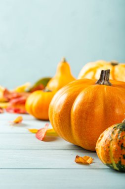 Sonbahar balkabağı Şükran Günü arka planı