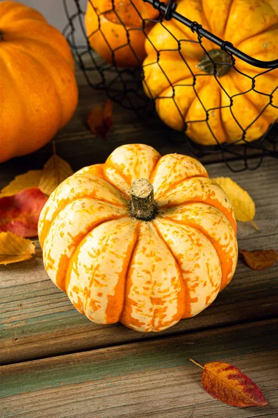 Autumn pumpkin thanksgiving background — Stock Photo, Image