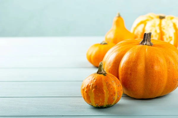 Autumn pumpkin thanksgiving background — Stock Photo, Image