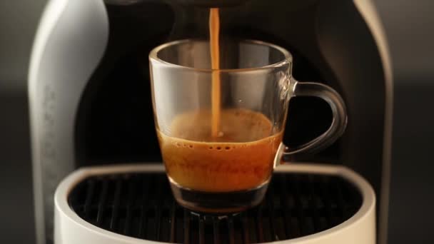 Café verser dans une tasse en verre de fantaisie — Video