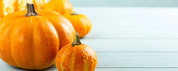 Autumn pumpkin thanksgiving background — Stock Photo, Image