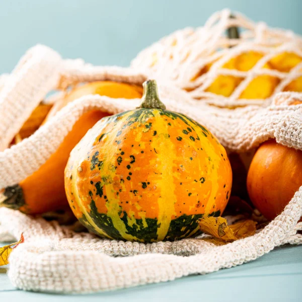 Autumn pumpkin thanksgiving background — Stock Photo, Image