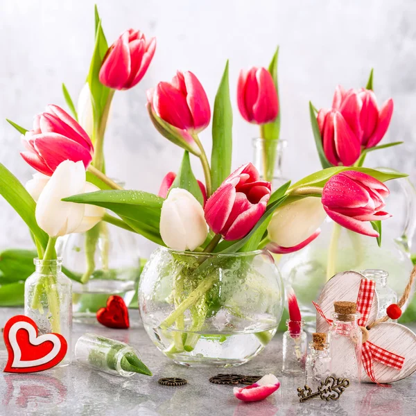 Pink and white tulips in glass vases — Stock Photo, Image