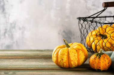 Sonbahar balkabağı Şükran Günü arka planı