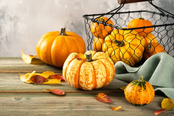 Autumn pumpkin thanksgiving background — Stock Photo, Image