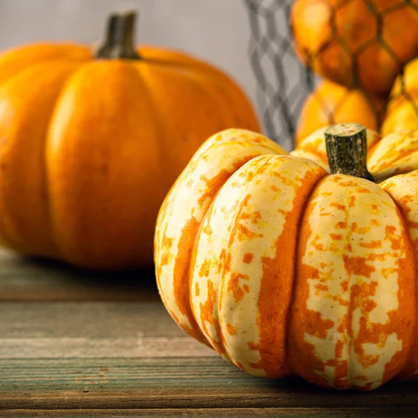 Autumn pumpkin thanksgiving background — Stock Photo, Image