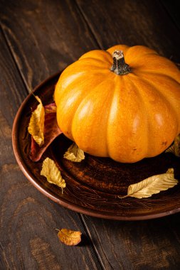 Sonbahar balkabağı Şükran Günü arka planı