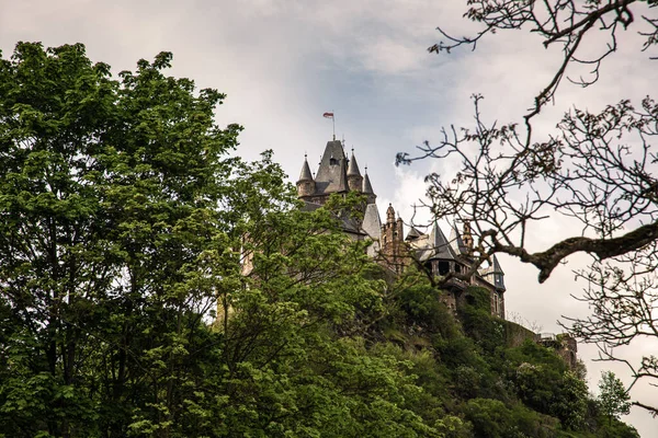 Castle over a vineyard in spring in cochem — Stock Photo, Image