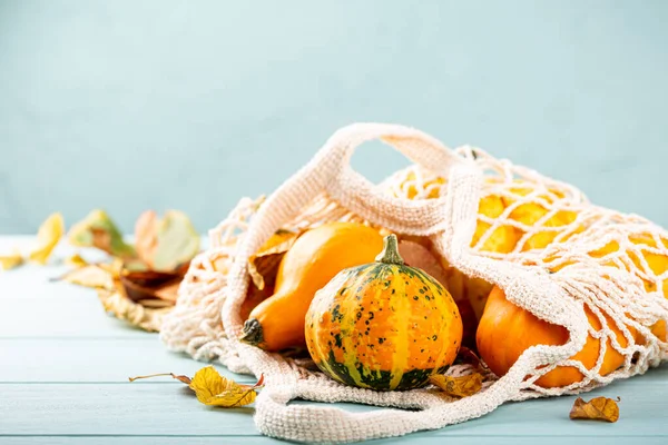 Autumn pumpkin thanksgiving background — Stock Photo, Image