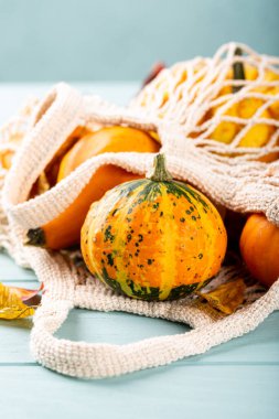 Sonbahar balkabağı Şükran Günü arka planı