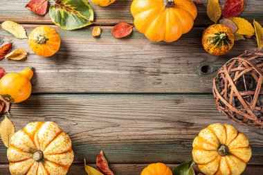 Sonbahar balkabağı Şükran Günü arka planı