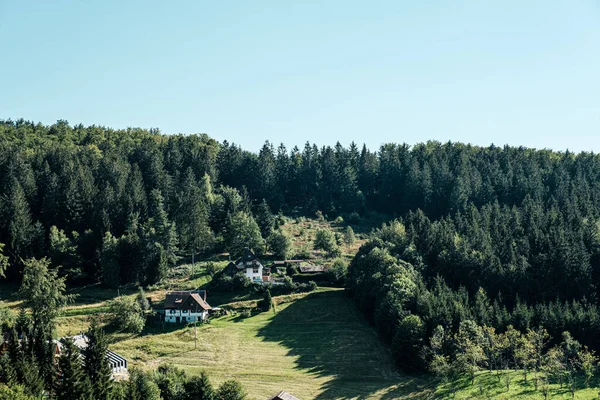 Typische Landschaft in Sasbachwalden, Schwarzwald, Deutschland — Stockfoto