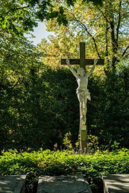 Bir haç heykeli, canlı yeşilliklerin arasında, doğal bir ortamda huzurlu bir atmosfer yaratarak dimdik ayakta duruyor. Hollanda 'da Eindhoven