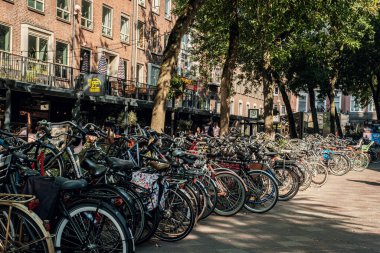 Eindhoven, Hollanda - 21 Eylül 2024: Çevresi ağaçlar ve binalarla çevrili canlı kentsel ortamda parketmiş sayısız bisiklet